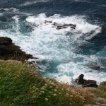 st_just_walk_040