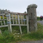 st_just_walk_058