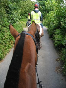horse_riding_011 horse_riding_011