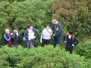 st_just_walk_027