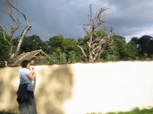 westonbirt_garden_festival_03_098